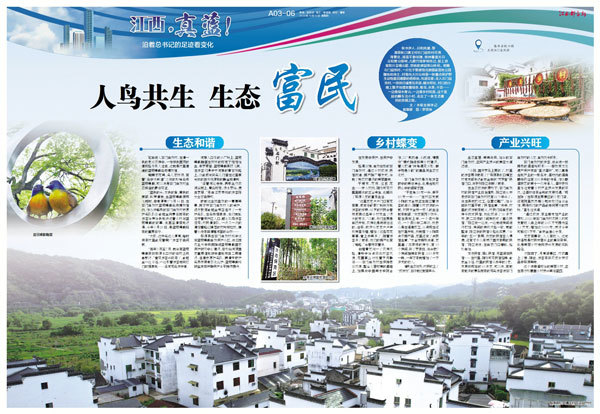 人鸟共生,生态富民,婺源石门村的发展之路