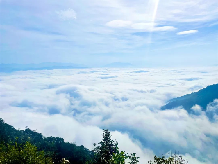 哀牢山上的云海。 图据云南省文旅厅官网