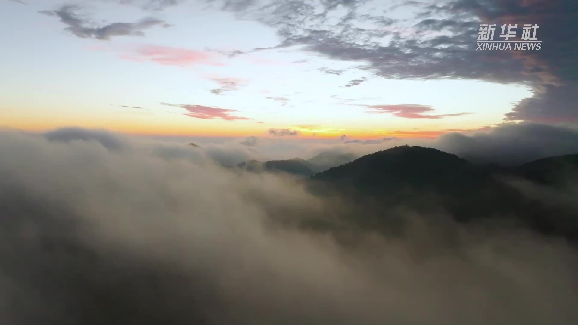 重庆巫溪：与高山草甸邂逅自然之美