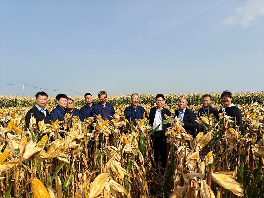 “吨半田”持续推进 助力农业现代化