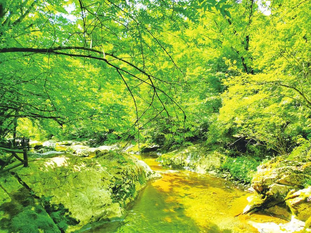 云屏景区流淌的小溪