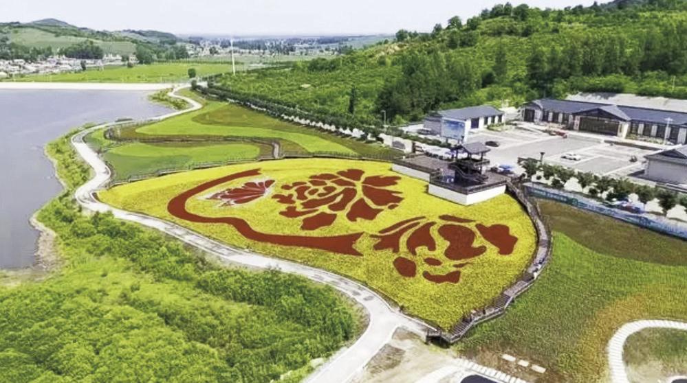 双阳区太平镇小石村花海航拍图。 赵猛佳 摄