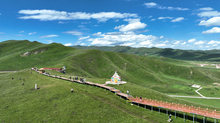 游客在甘肃省甘南藏族自治州玛曲县阿万仓湿地游览(2023年7月6日摄,无人机照片。)新华社记者 陈斌 摄