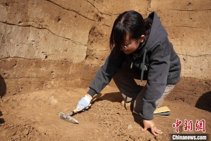 240659a7-8f96-408d-92fe-3d9059cbd412_zsite (2)_副本.jpg