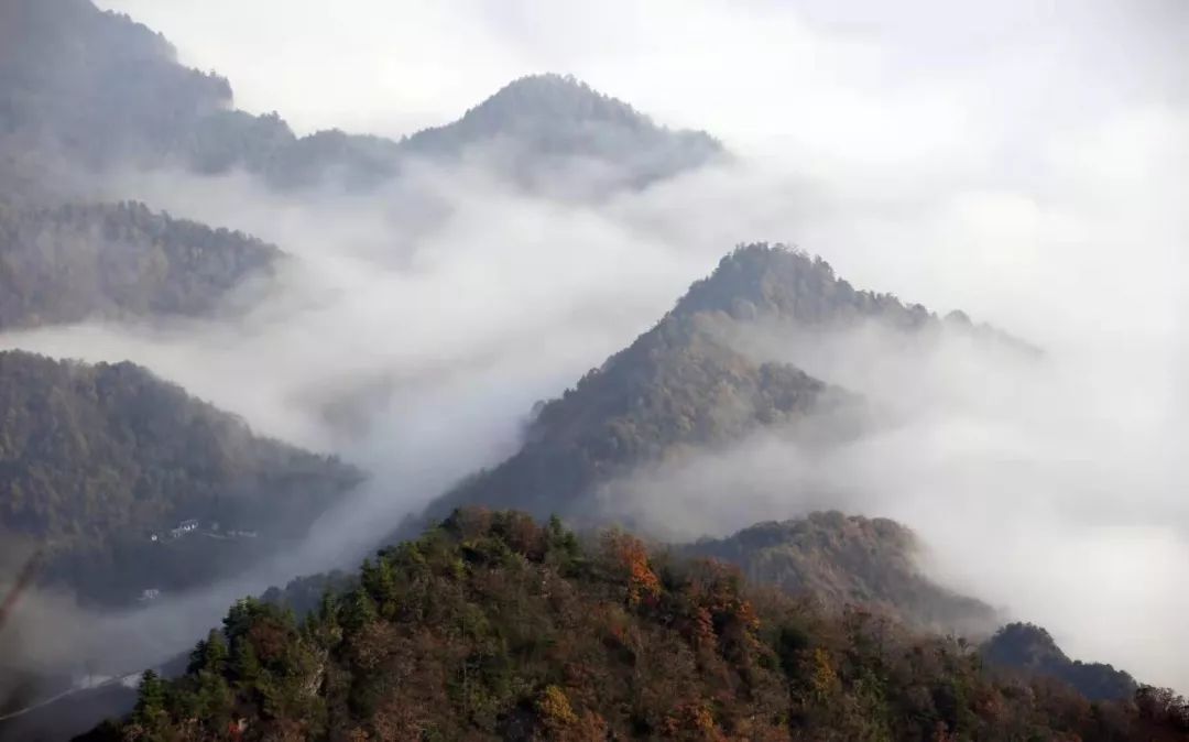 古韵加持！陇南这里很出片