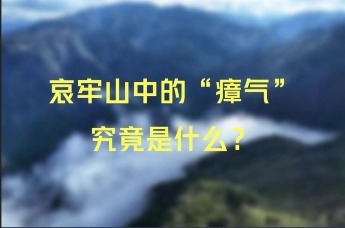 哀牢山的致命瘴气究竟是什么？