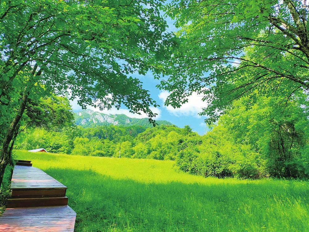 甘肃首个“国际慢城”主打slow　一起去这里森呼吸