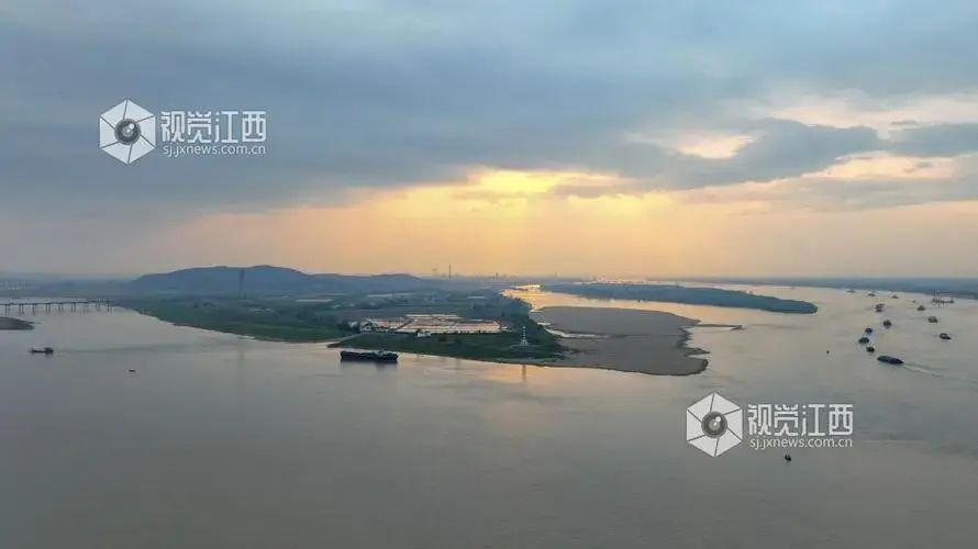 首批“嘉宾”!2万余只越冬候鸟已抵达鄱阳湖湿地