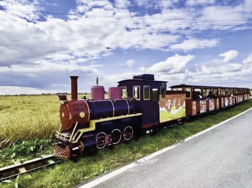 双阳区齐家镇曙光村的稻田观光小火车。 赵猛佳 摄