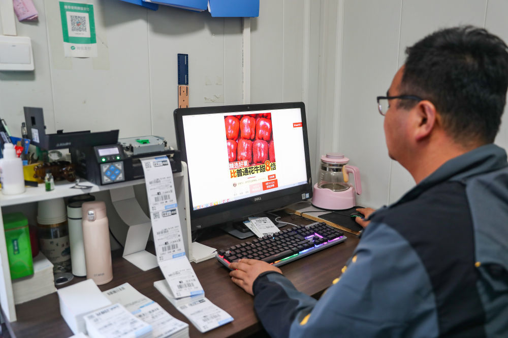 在礼县永坪镇永坪村，31岁的电商“新农人”白亚龙正在打印当日客户订单。新华社记者　郎兵兵　摄