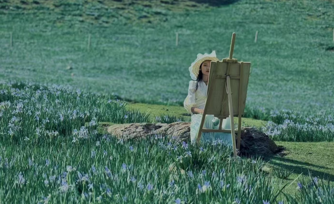 图源：美朵花吉