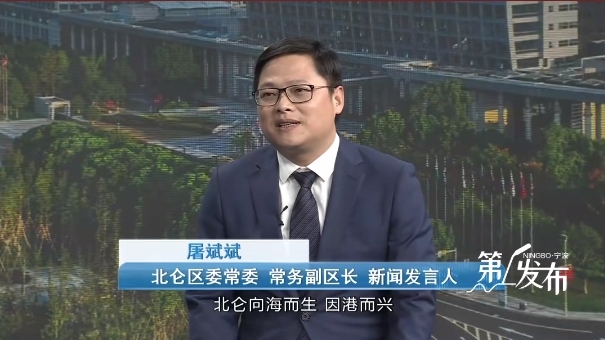 北仑：奋楫扬帆立潮头，开放引领再出发