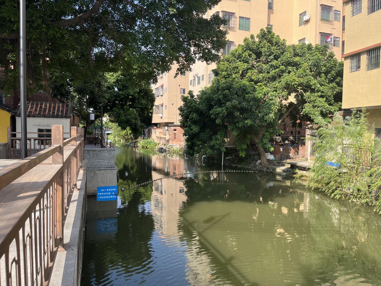 图为:一涌之隔,南岸环境优美,北岸违建乱搭。