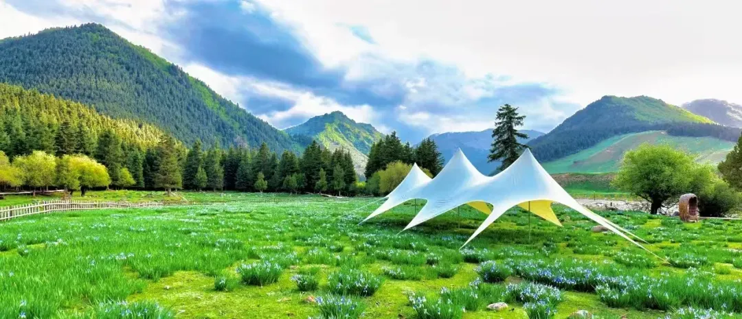 来武威在哪拍？让你出片就像呼吸一样简单