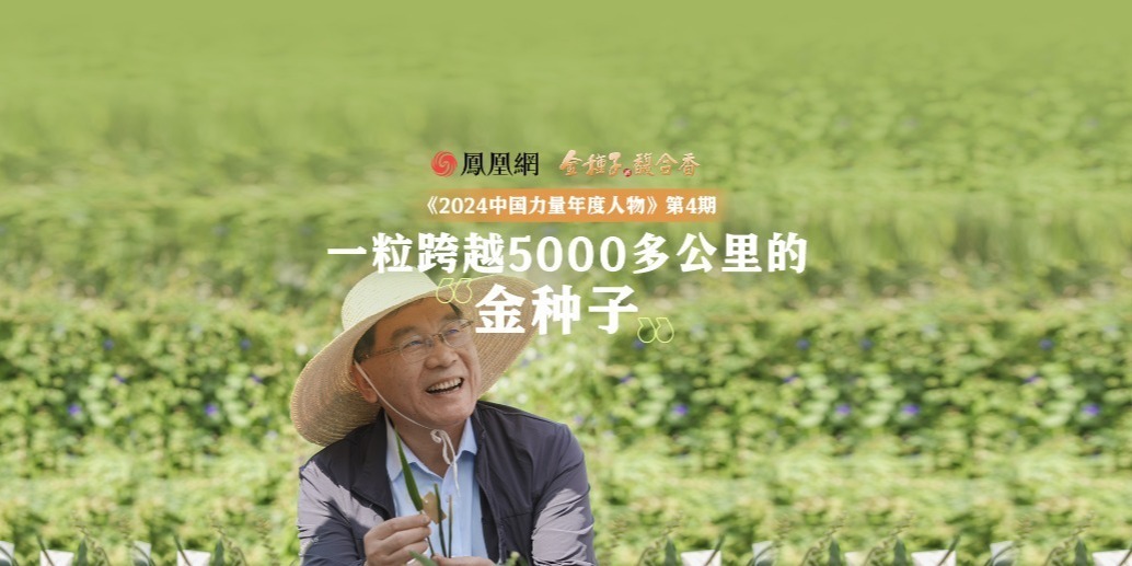 中国力量第4期｜一粒跨越5000多公里的“金种子”