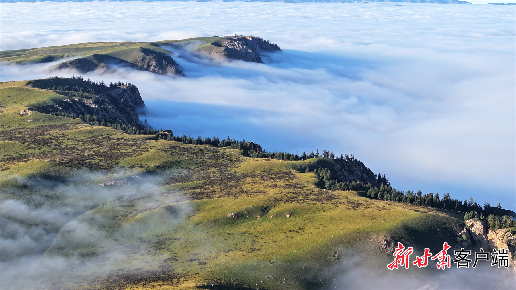 俯瞰祁连山，绿意盎然。（本组图片：新甘肃·甘肃日报通讯员　王超　摄）