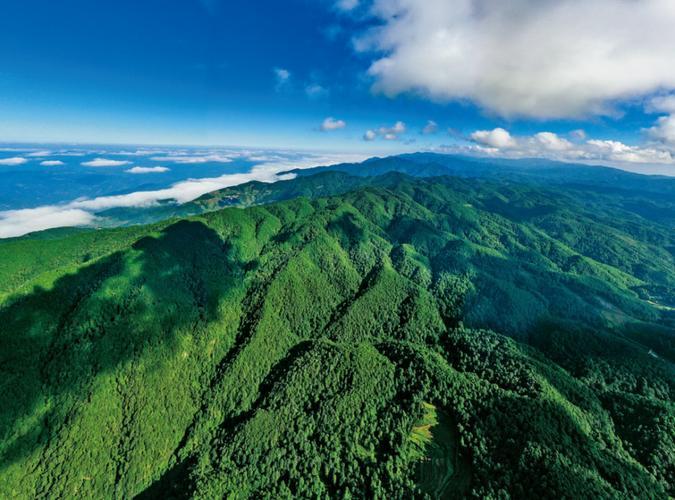 新平文旅回應哀牢山景區安全問題