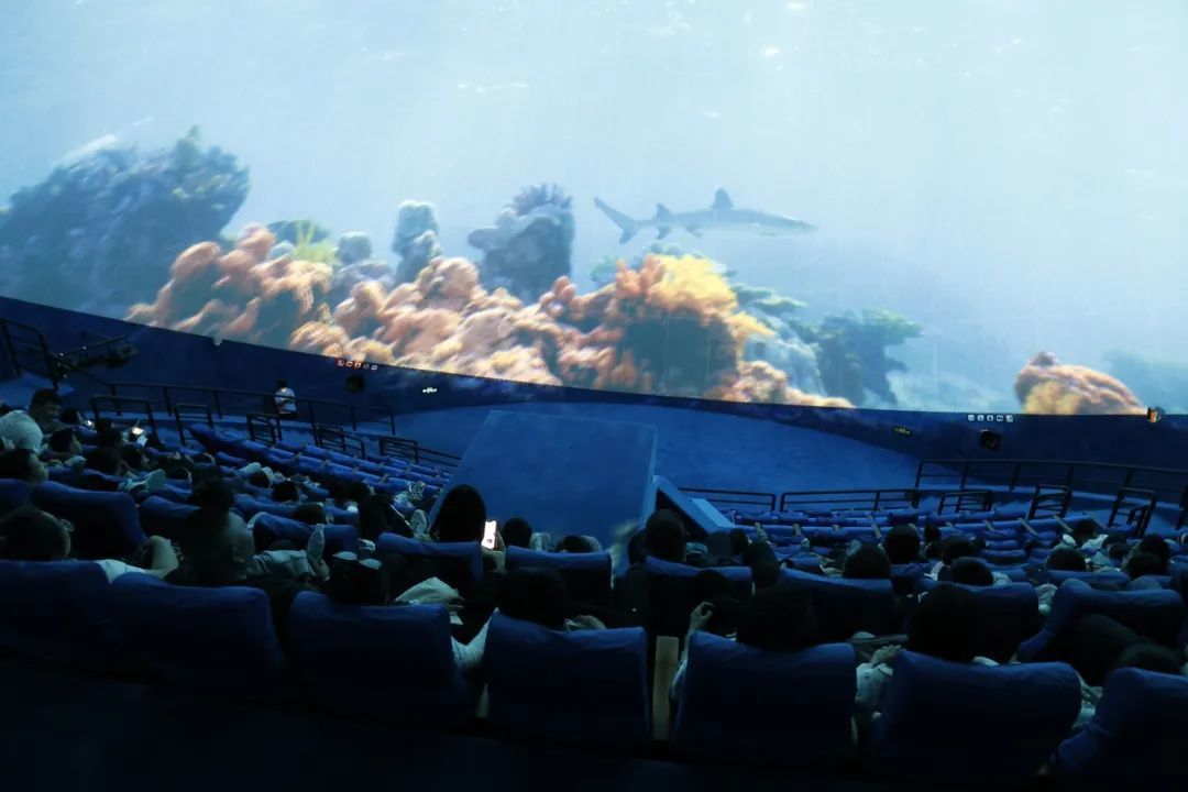 电影嘉年华 视听新盛宴