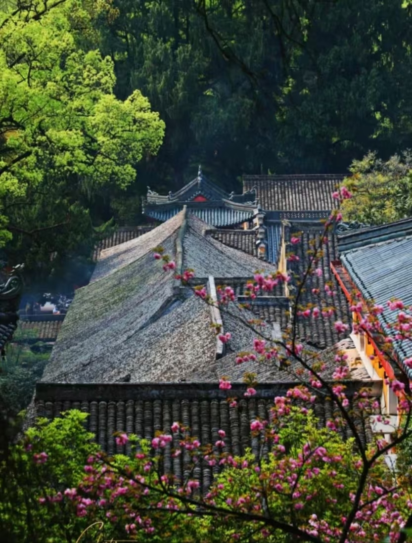 去过台州的县城,我对京都祛魅了