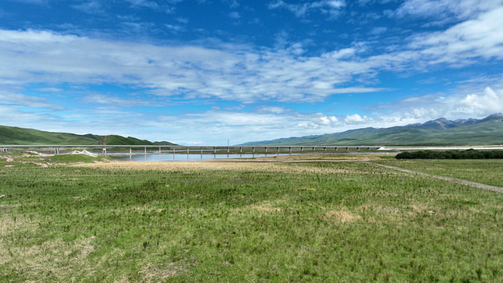 甘肃省甘南藏族自治州玛曲县城郊黄河岸边的沙化带已被牧草和灌木复绿(2023年7月6日摄,无人机照片。)新华社记者 陈斌 摄