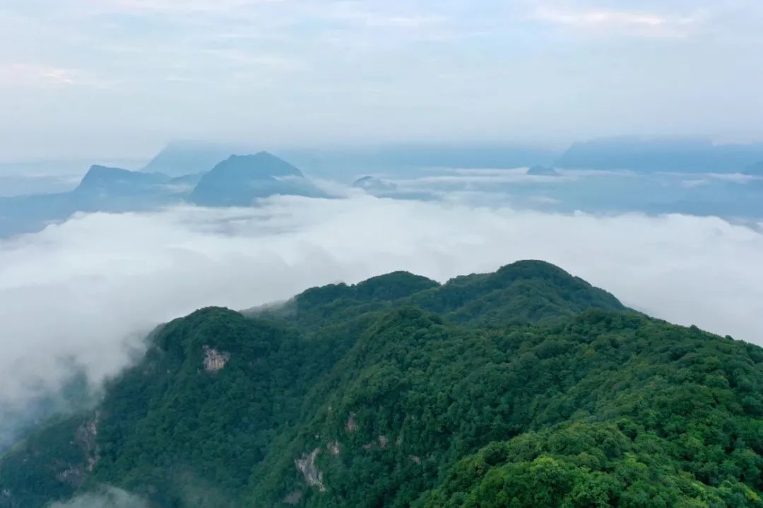 古韵加持！陇南这里很出片