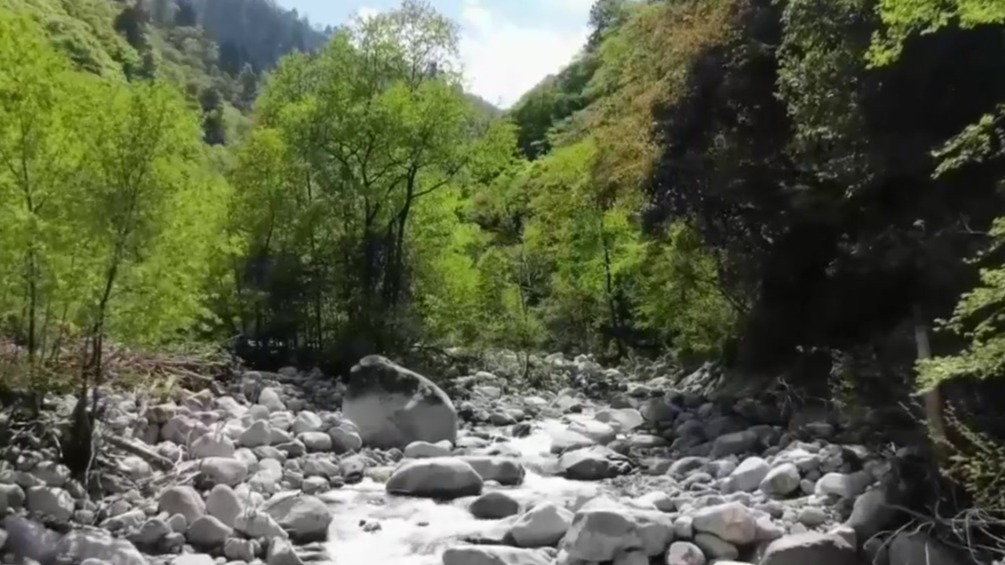 探访熊猫家园（七）科普