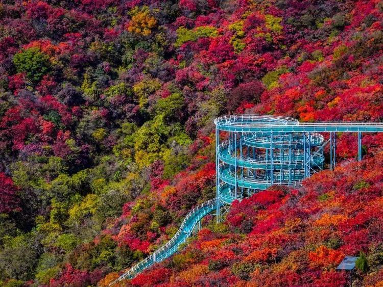 来源：山东文旅红叶柿岩旅游区