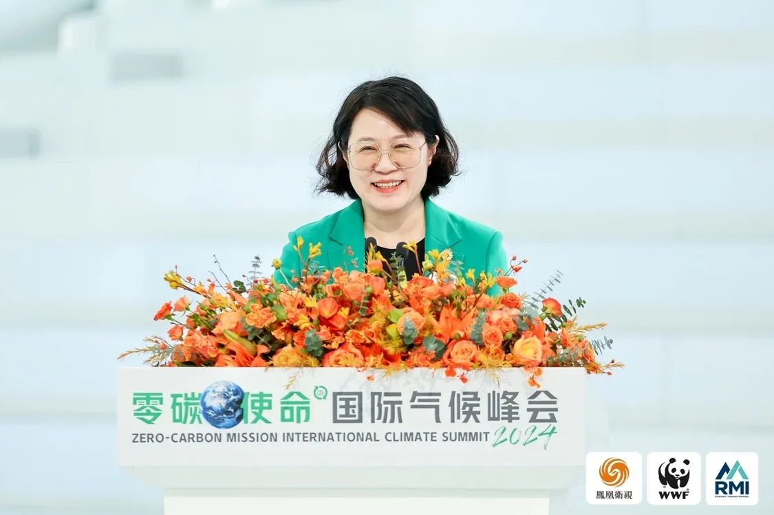 落基山研究所常务董事兼北京代表处首席代表李婷
