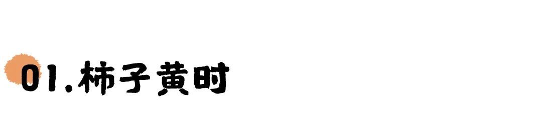 婺源“網(wǎng)紅柿子村”上線 篁嶺的秋天太絕啦