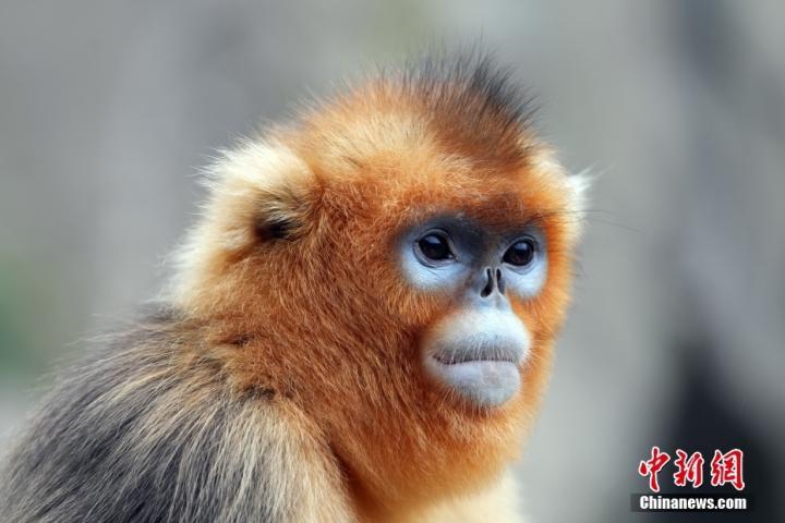 中新社记者　毛建军　摄