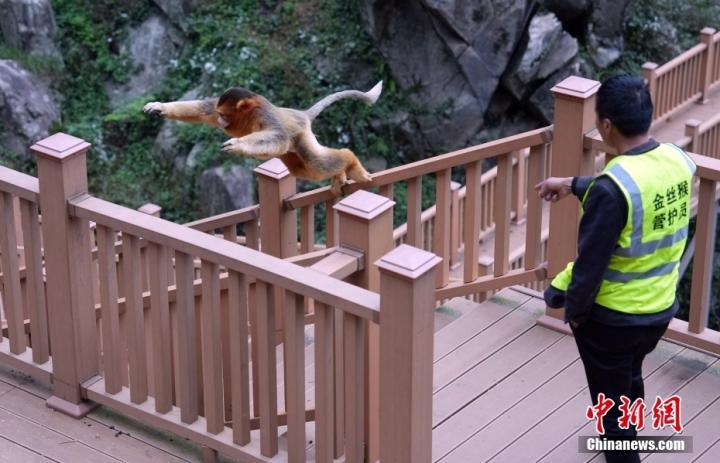 中新社记者　毛建军　摄