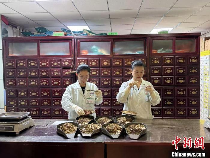 10月17日，石家庄市长安区桃园社区卫生服务中心的医生正在为患者抓中药。　赵丹媚 摄