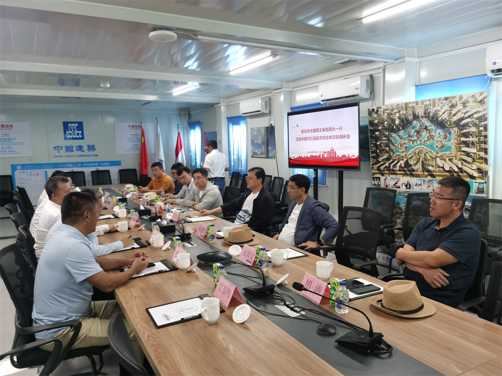 市北区人大代表张波跟随青岛市代表团赴埃及访问，青岛建设装饰集团顺利签约