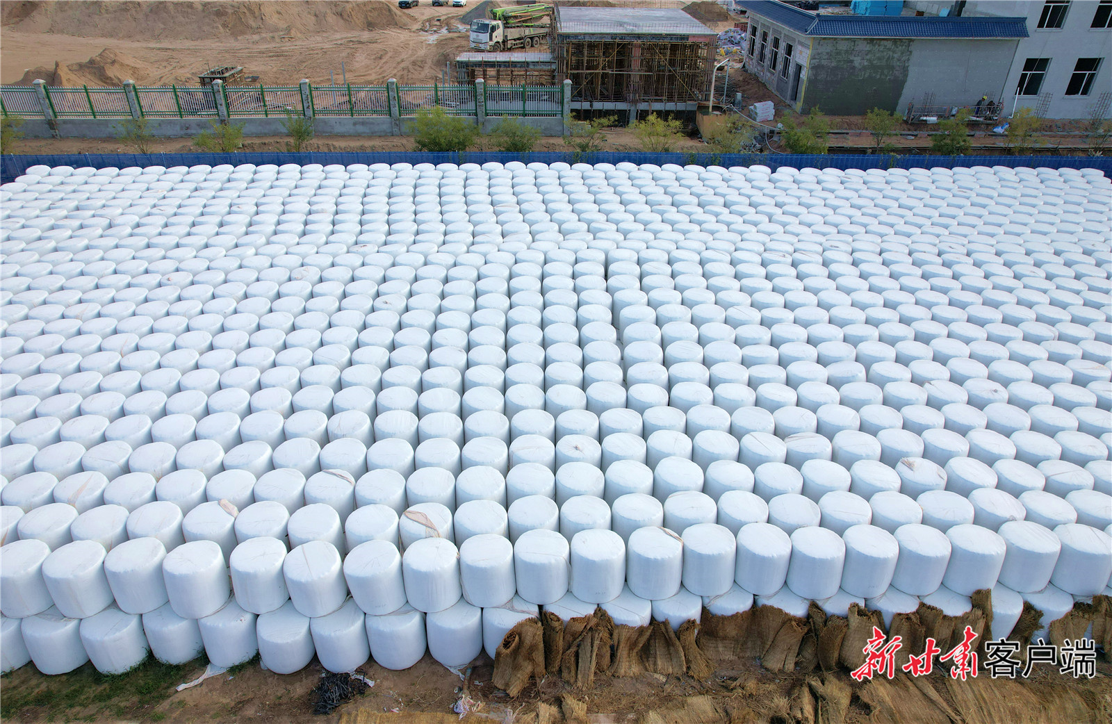 露天存放发酵饲料 新甘肃·甘肃日报记者 金奉乾 摄