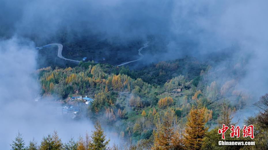 图为云海之下的草原　王肖晶　摄