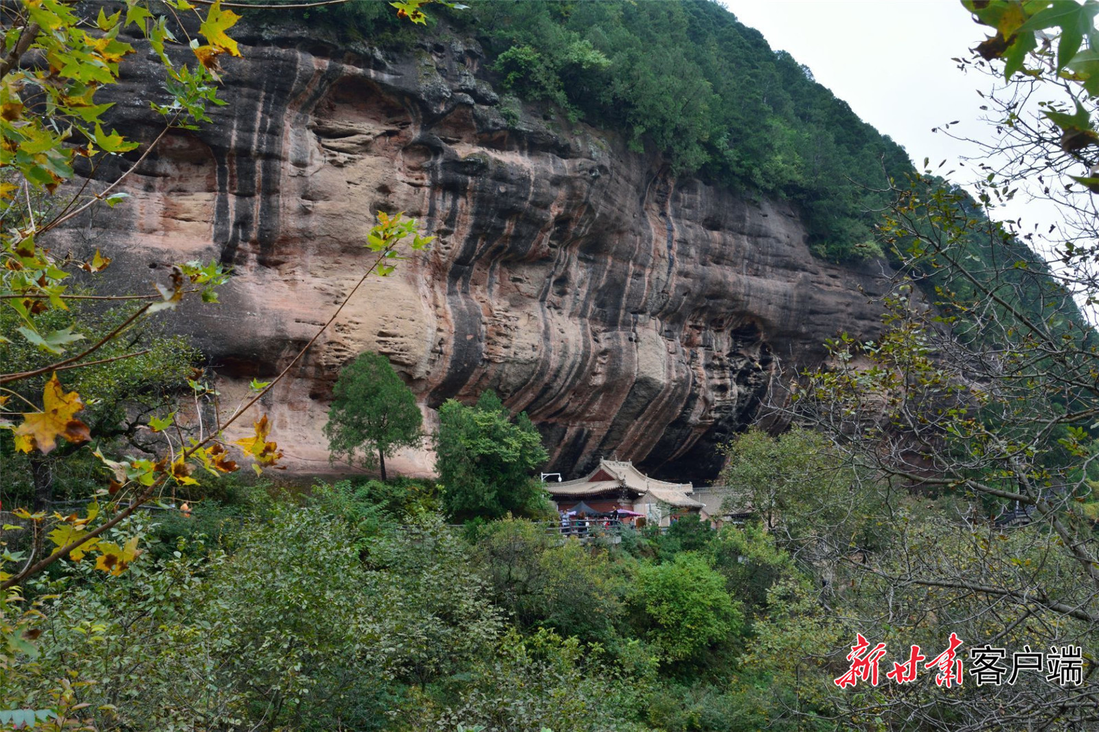 【千年石窟　匠心传承】仙人崖上邂“仙人”