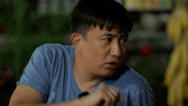 何炅被嘲为“异食癖”，20岁就走上戛纳红毯的黄磊被讨伐了封面图