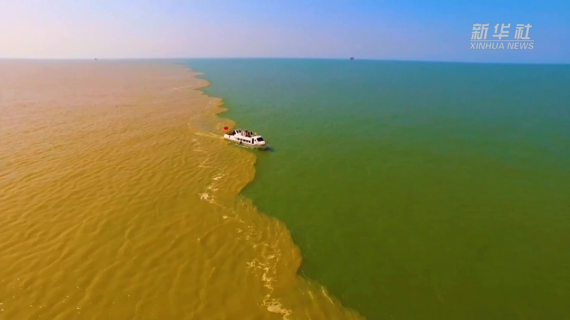 国道之行 海阔天空｜山东东营：湿地在城中 城在湿地中