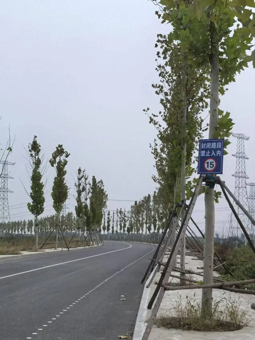 涉事道路。图/九派新闻