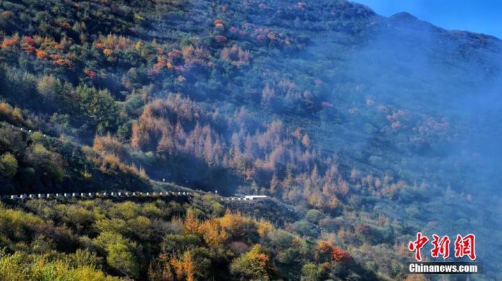 图为草原郁郁葱葱，云海飘渺。