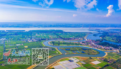 长江湖南临湘段生机盎然。 通讯员 陈仕林摄