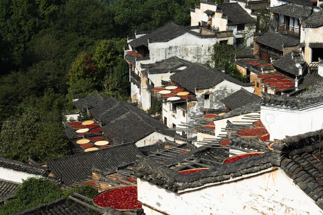 圖為10月12日實拍