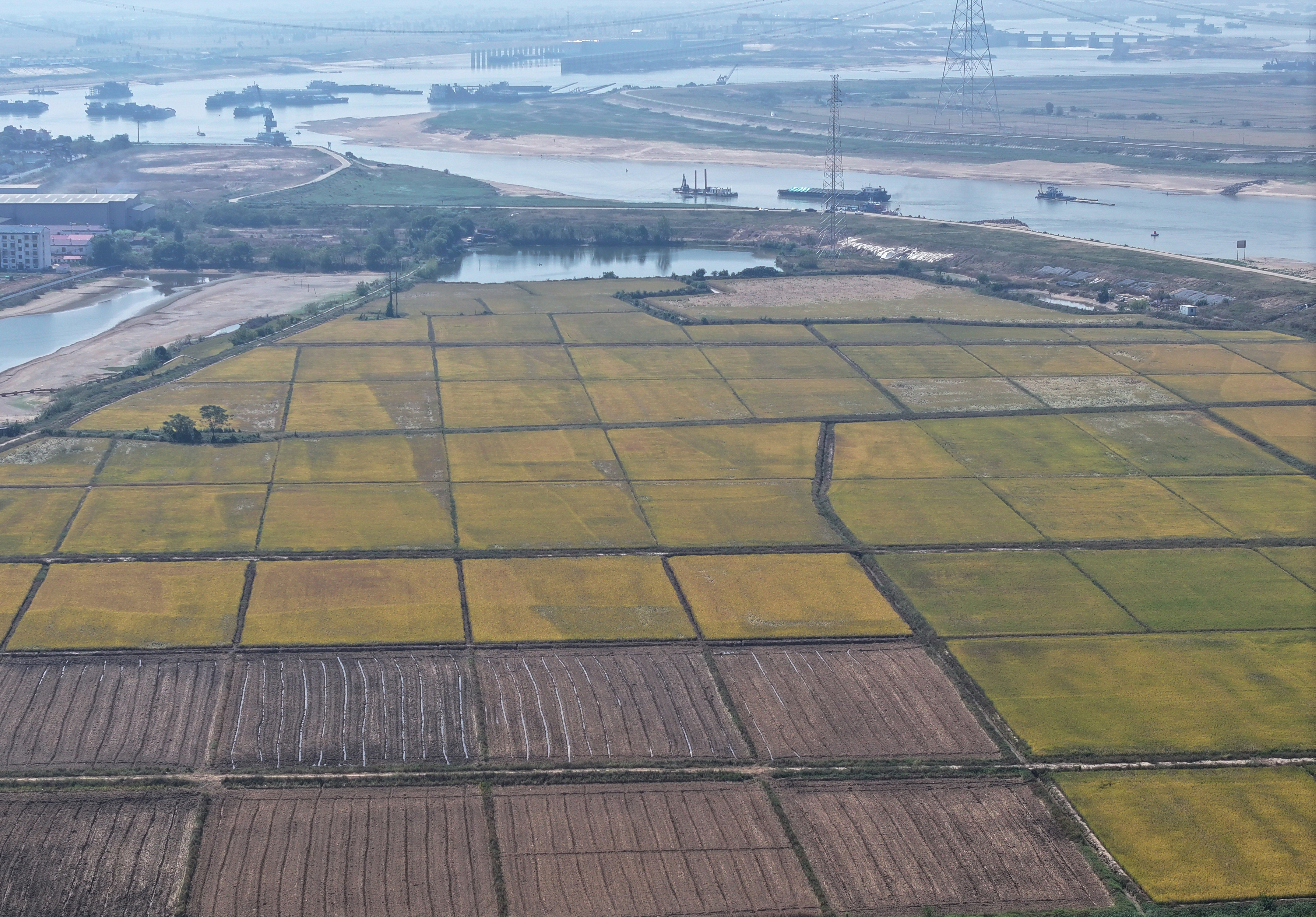 ▲新建区昌邑乡高标准农田。摄影∣江西日报全媒体记者徐黎明