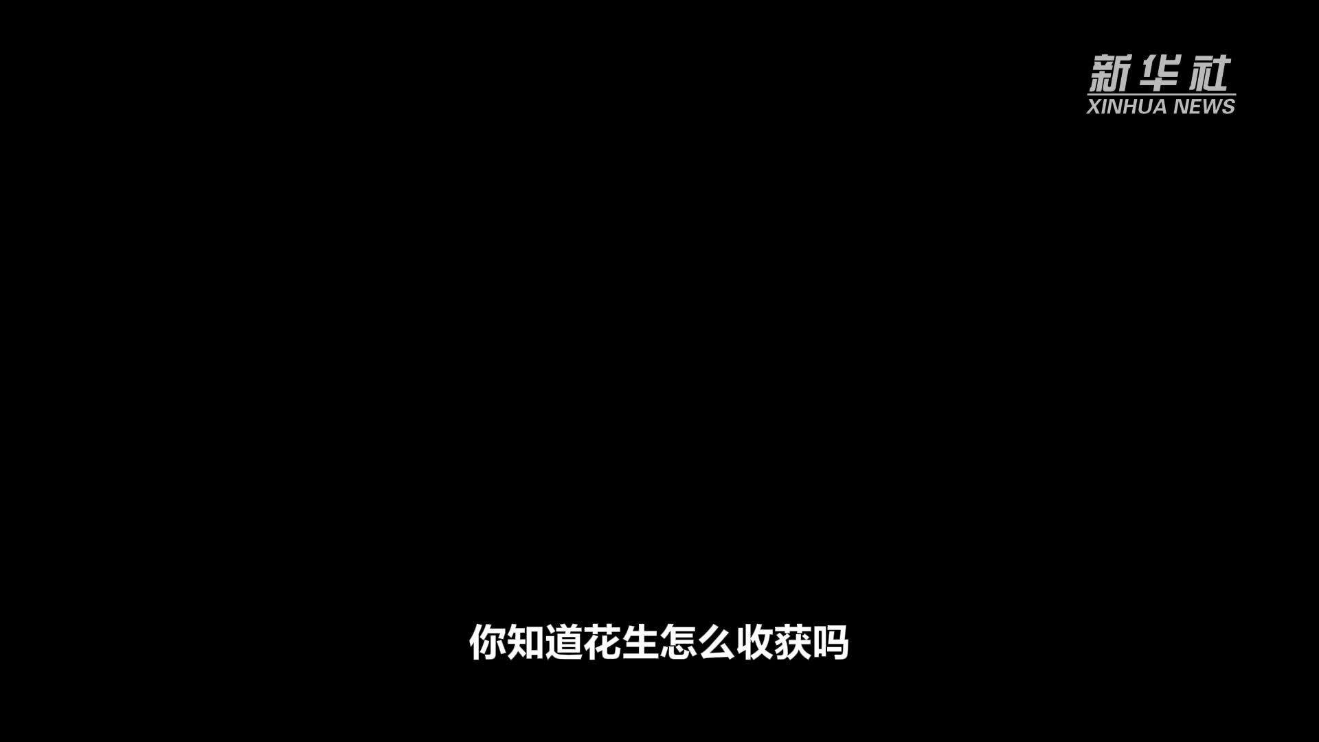 新华全媒＋丨一颗小花生的“七十二变”