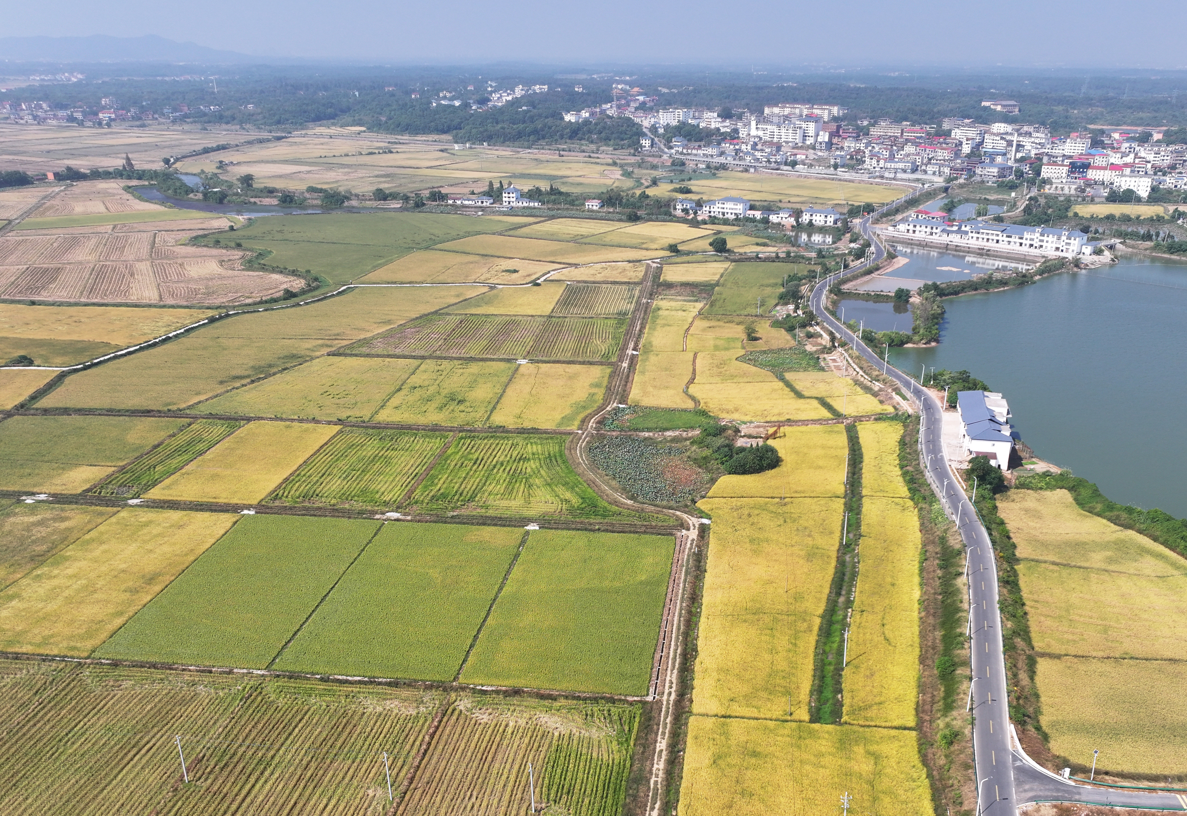 ▲南昌市新建区象山镇高标准农田。摄影∣江西日报全媒体记者徐黎明