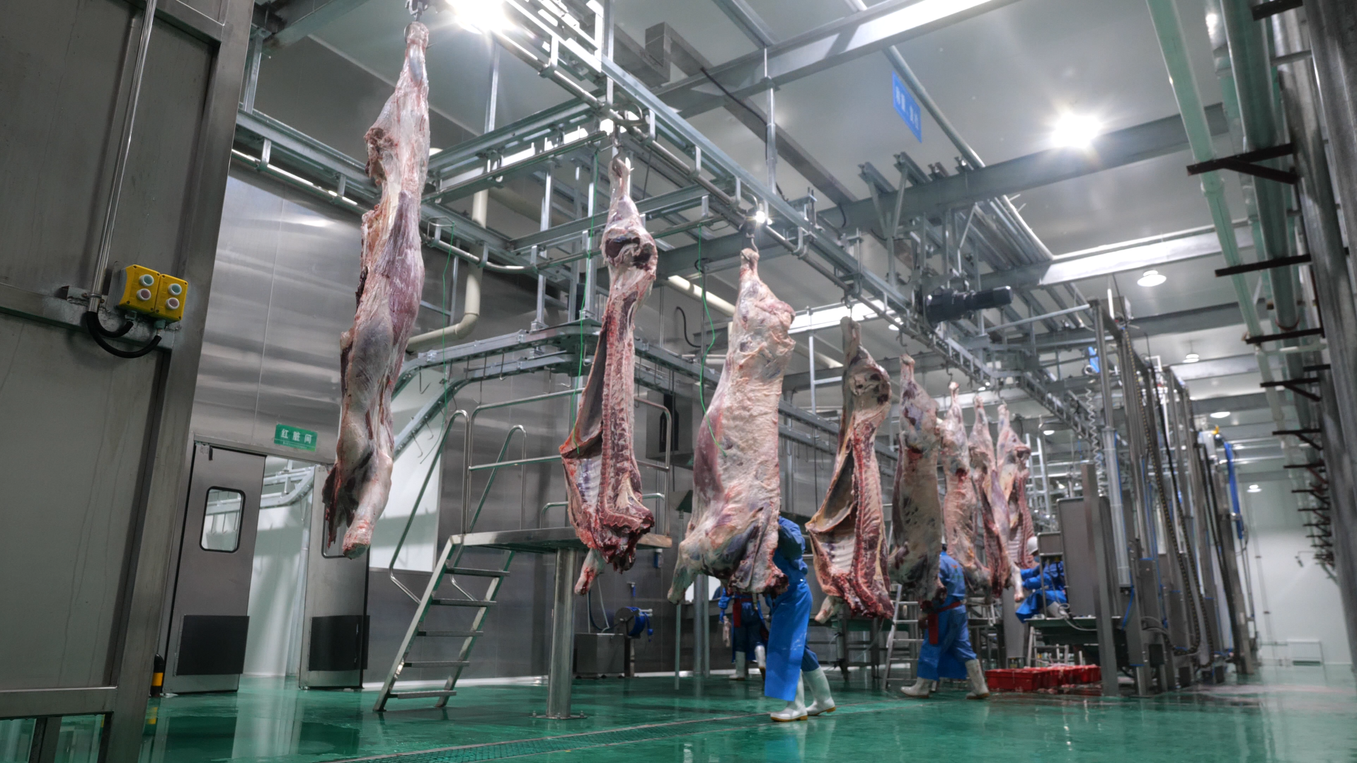 静宁县肉牛屠宰及冷链加工车间