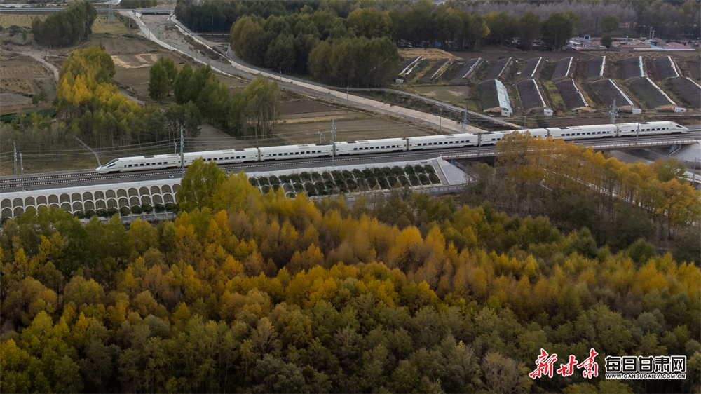 10月11日，在兰张高铁兰武段，列车穿梭在武威天祝县斑斓秋色中。