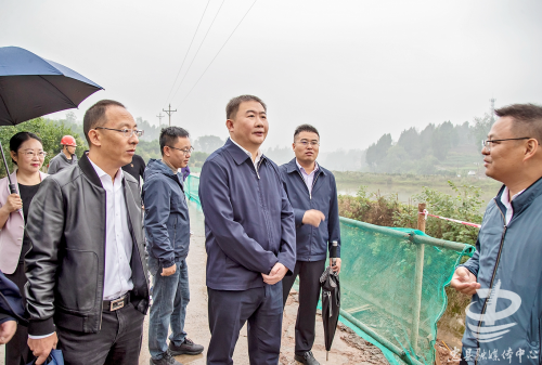 县委书记李电(右三)调研督导复兴镇水库移民美丽家园项目建设情况。余鸿 摄