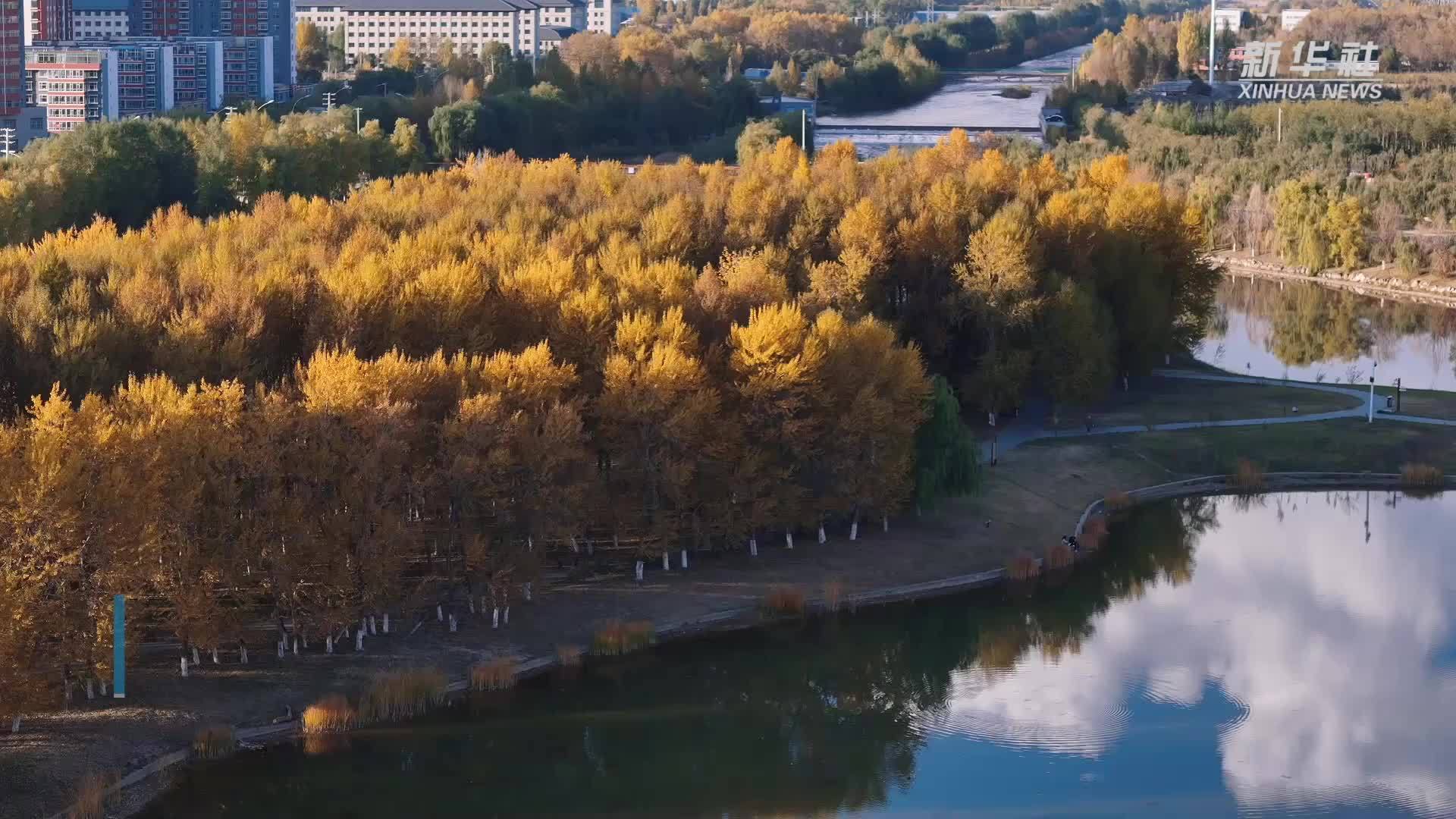 古城西宁秋意浓