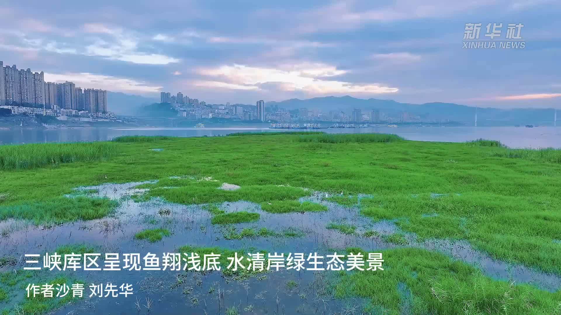 三峡库区呈现鱼翔浅底 水清岸绿生态美景